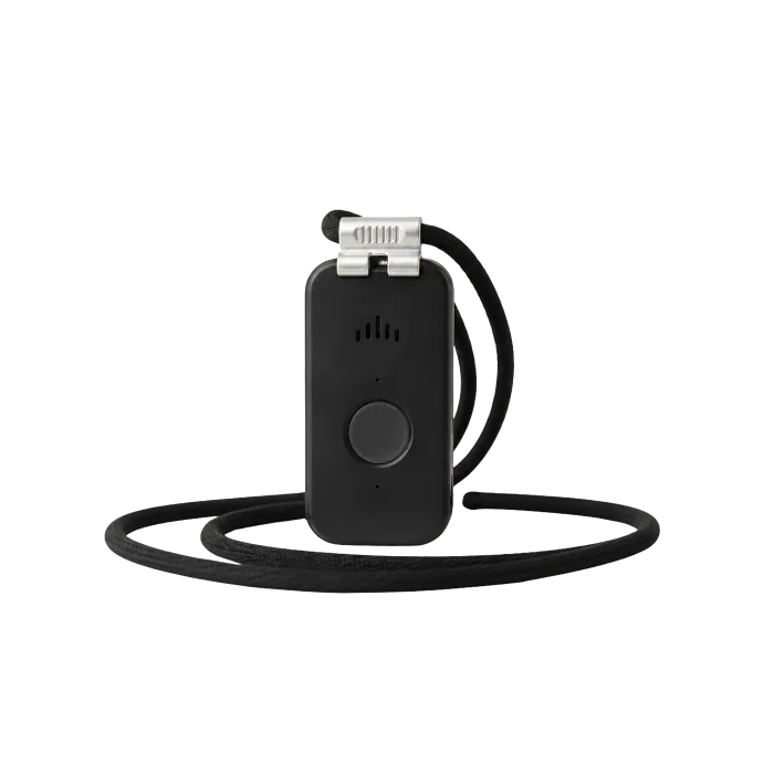 The DDD pendant and its lanyard